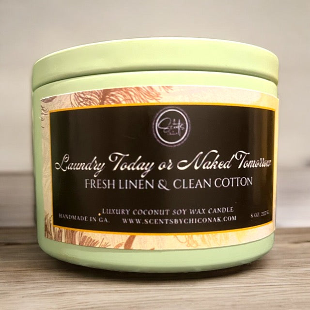 Laundry Today or Naked Tomorrow